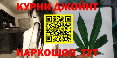 сатива Кандалакша