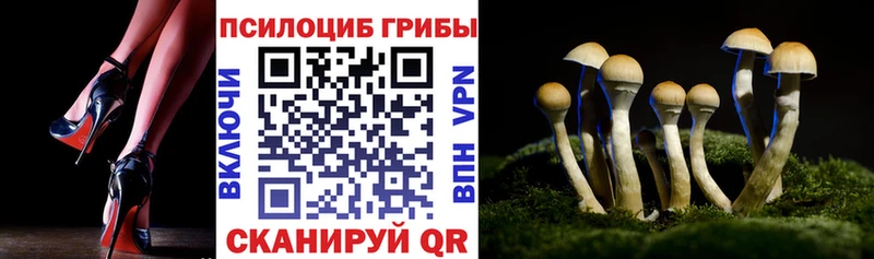 Галлюциногенные грибы Psilocybine cubensis Мелеуз